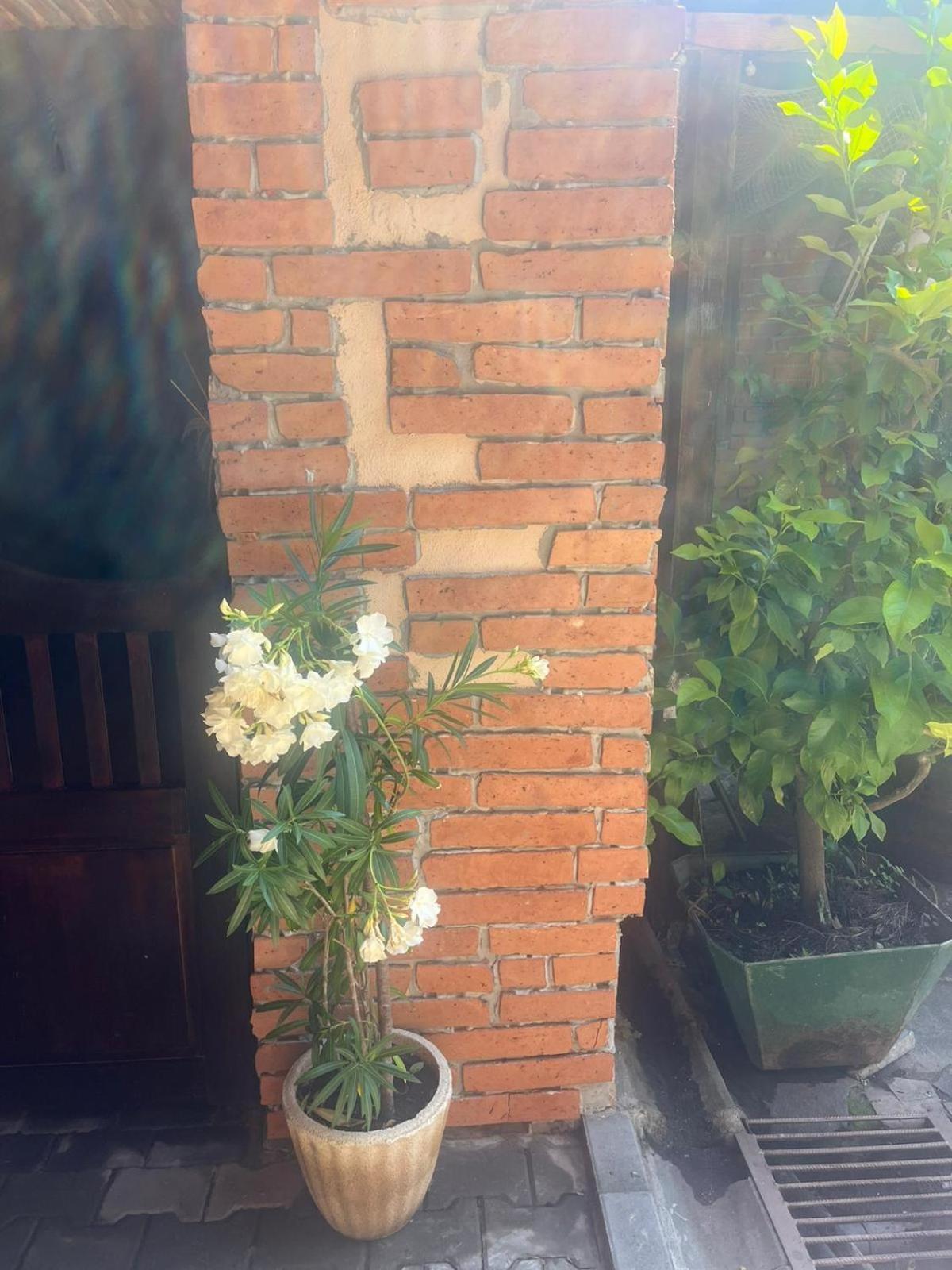 Casa De Oaspeti Dunarea La Cazane Dubova Zewnętrze zdjęcie