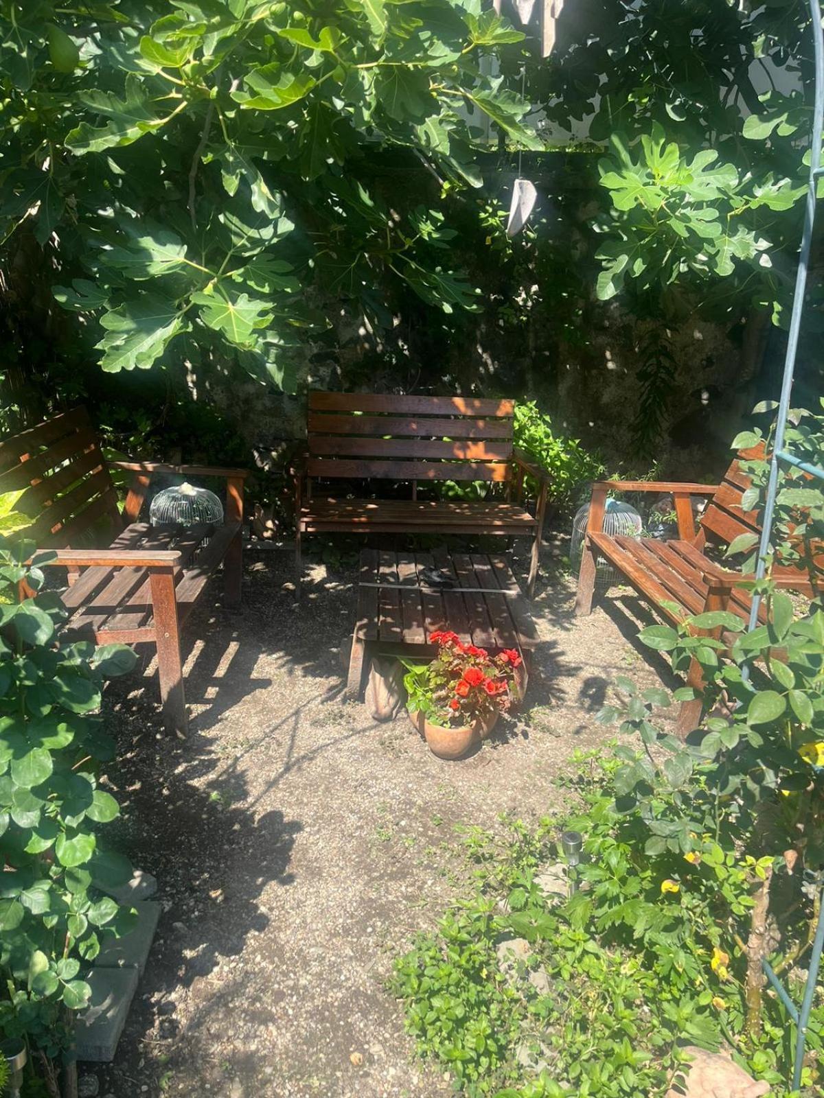 Casa De Oaspeti Dunarea La Cazane Dubova Zewnętrze zdjęcie