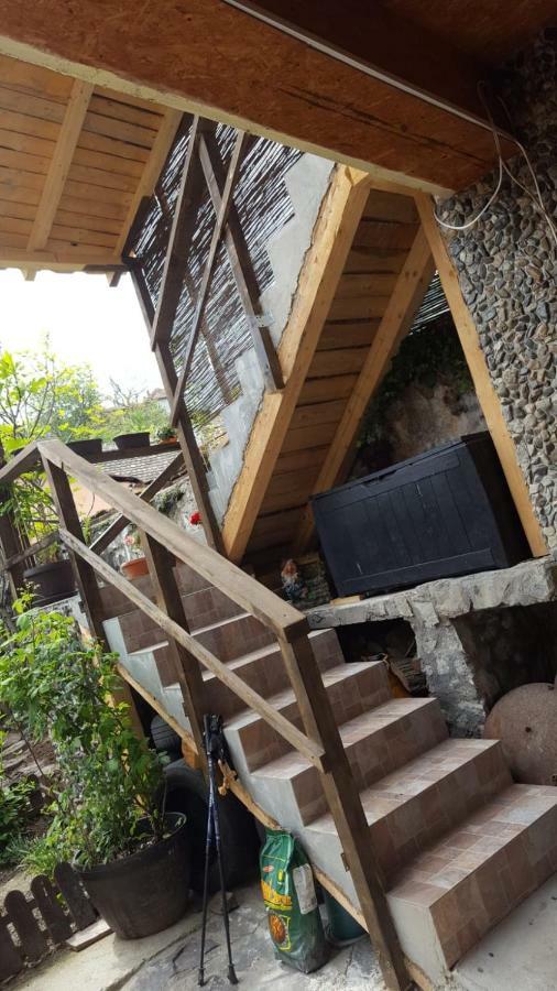 Casa De Oaspeti Dunarea La Cazane Dubova Zewnętrze zdjęcie
