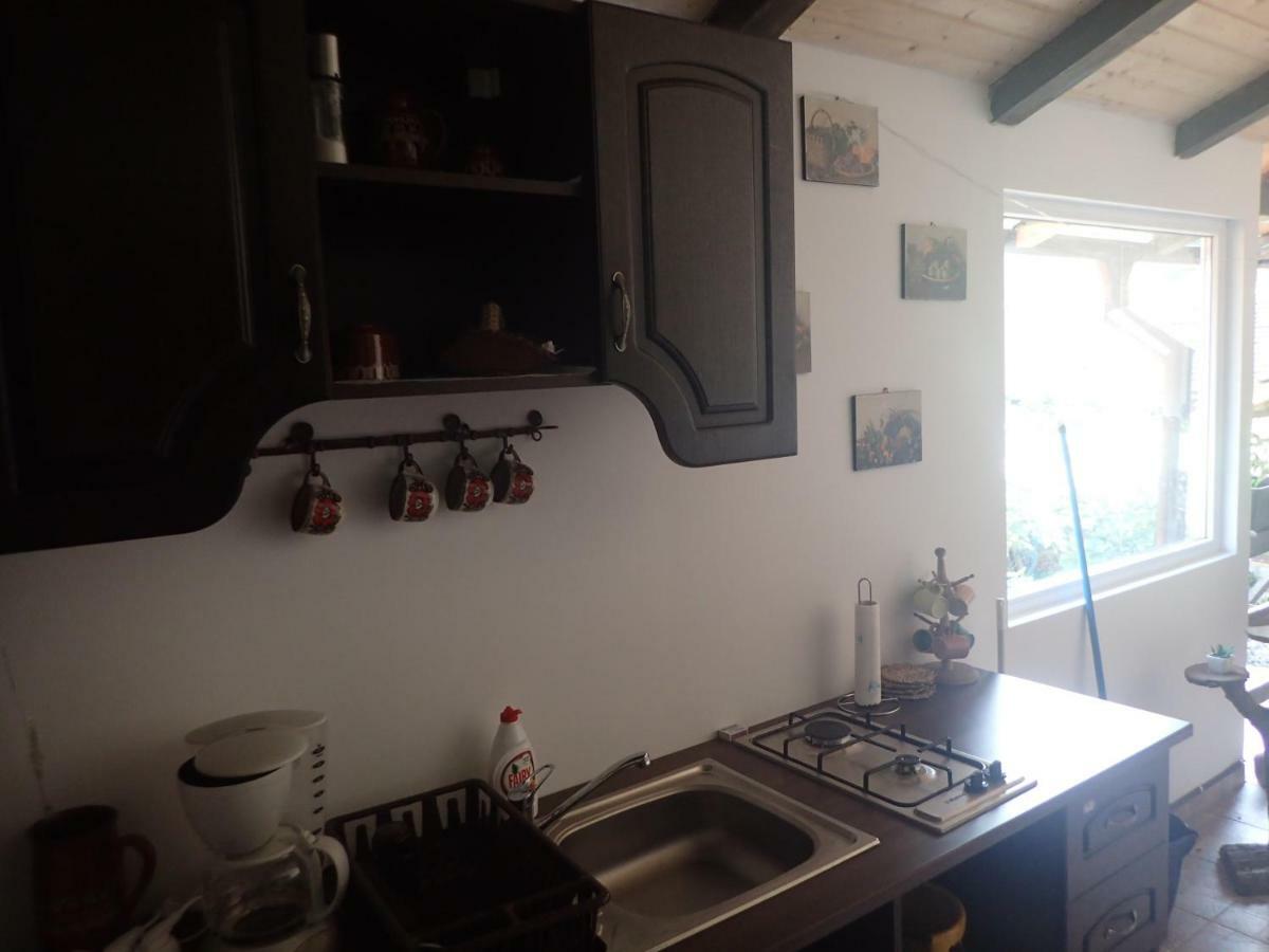Casa De Oaspeti Dunarea La Cazane Dubova Zewnętrze zdjęcie