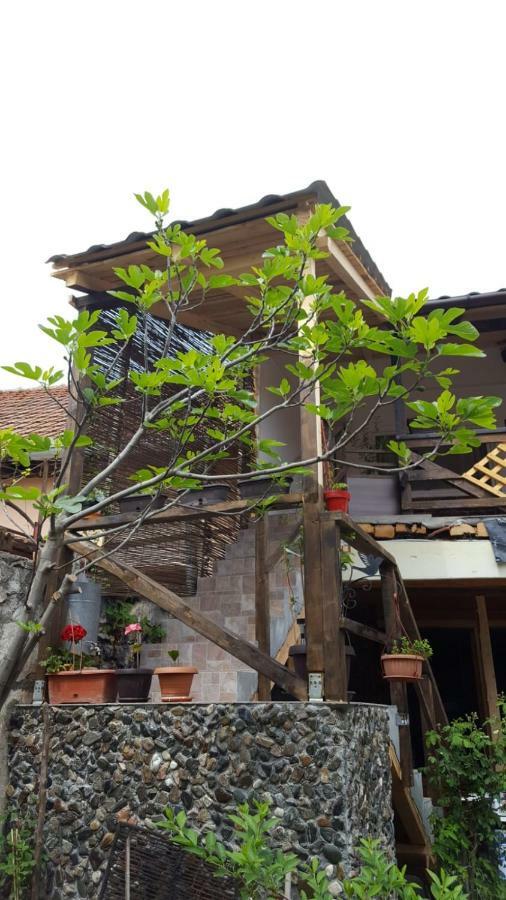 Casa De Oaspeti Dunarea La Cazane Dubova Zewnętrze zdjęcie